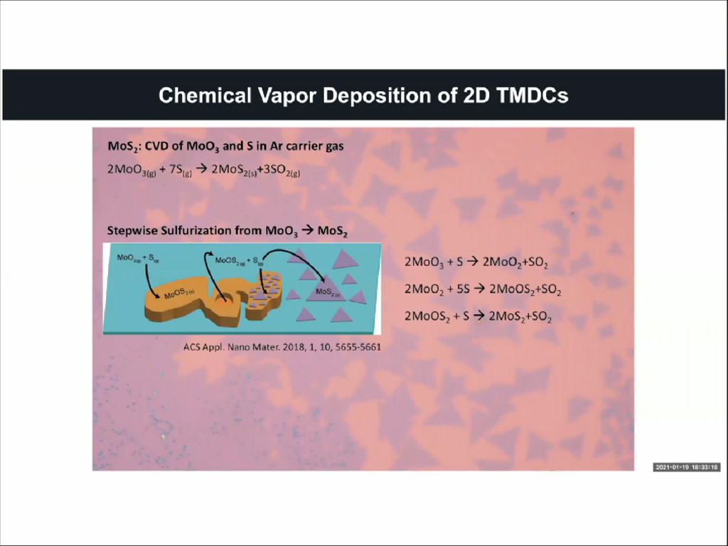 Chemical Vapor Deposition of 2D TMDCs