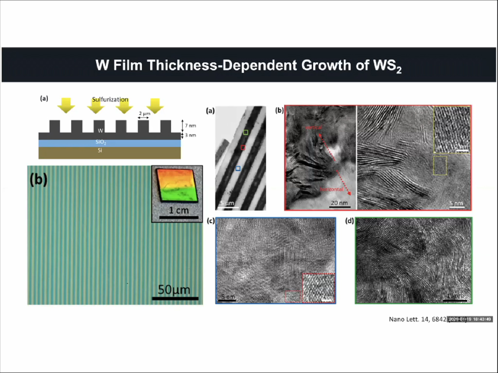 W Film Thickness-Dependent Growth of WS2