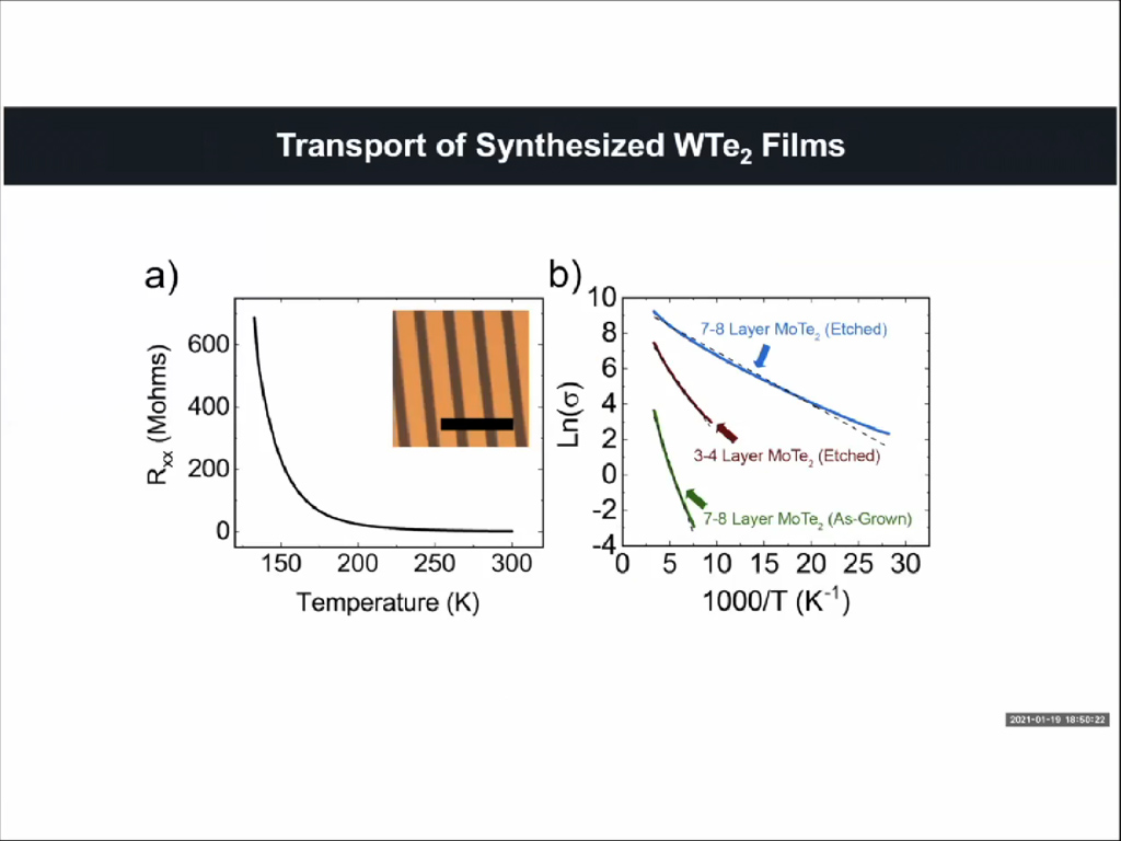 Transport of Synthesized WTe2 Films