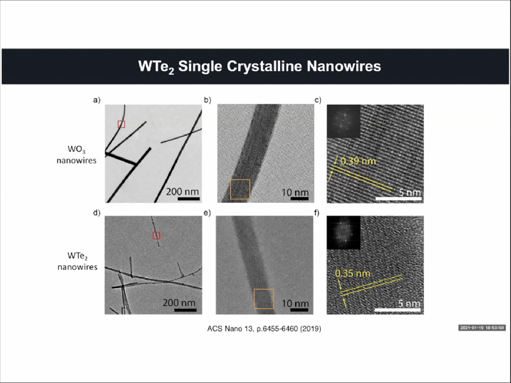 WTe2 Single Crystalline Nanowires