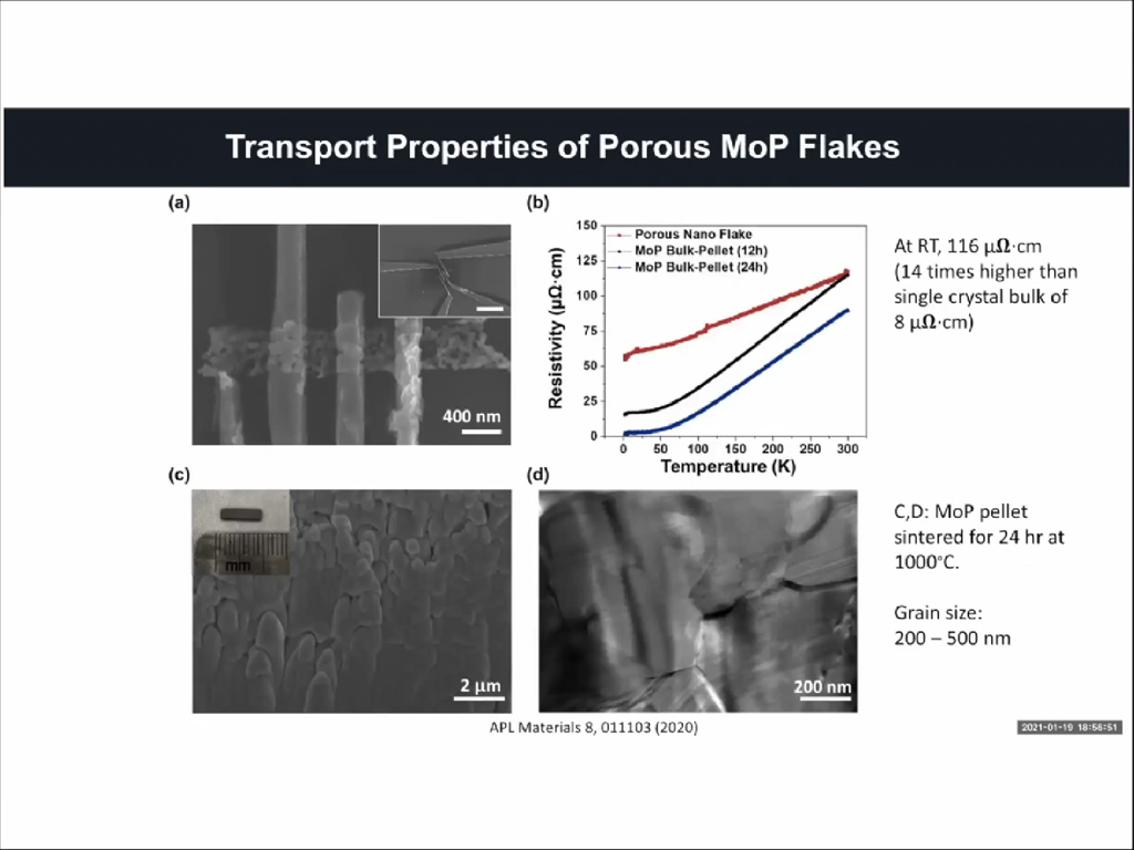 Transport Properties of Porous MoP Flakes