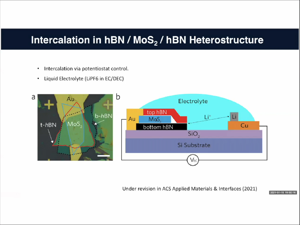 Intercalation in hBN/MoS2/hBN Heterostructure