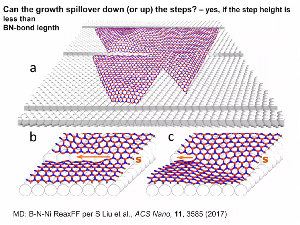Can the growth spillover down (or up) the steps?