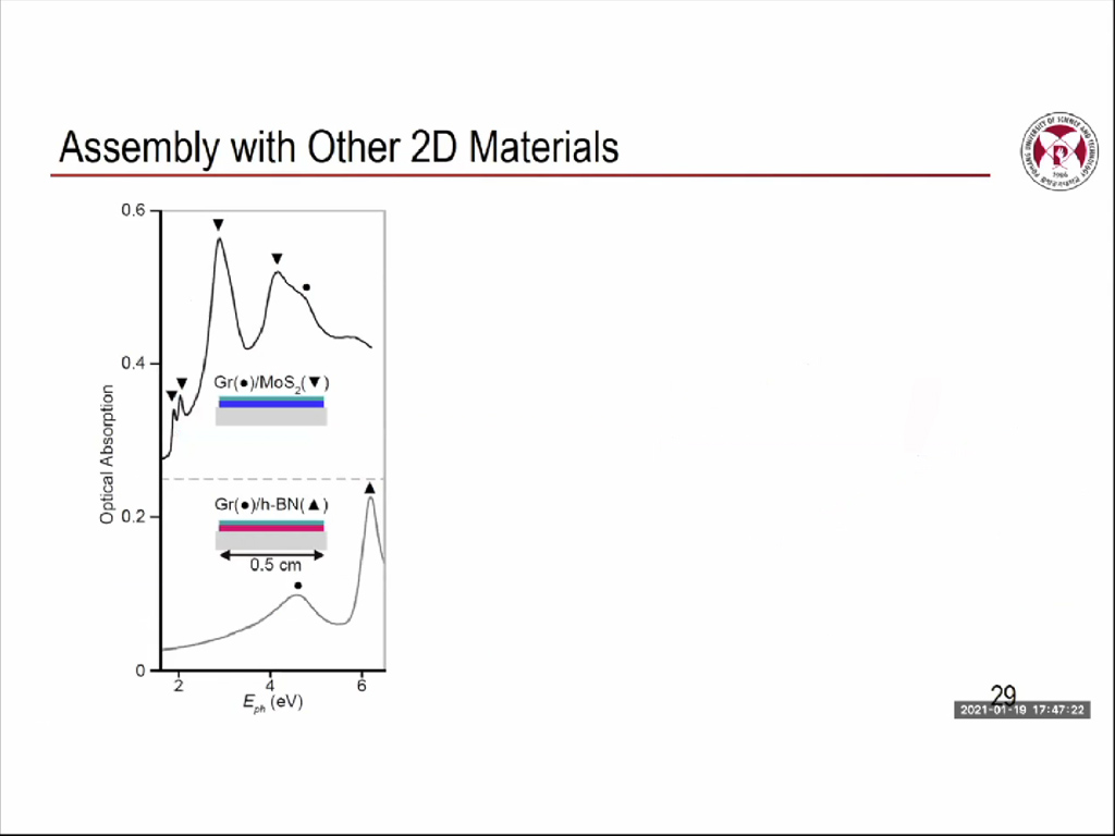 Assembly with Other 2D Materials