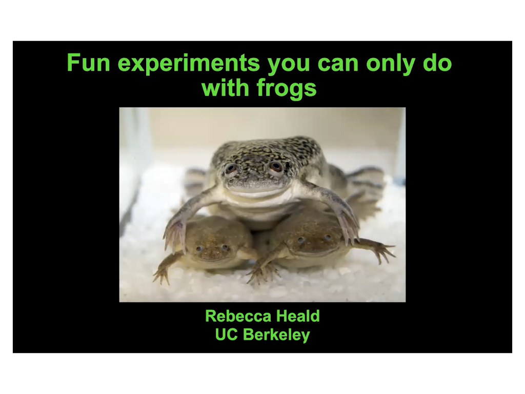 Fun experiments you can ony do with frogs