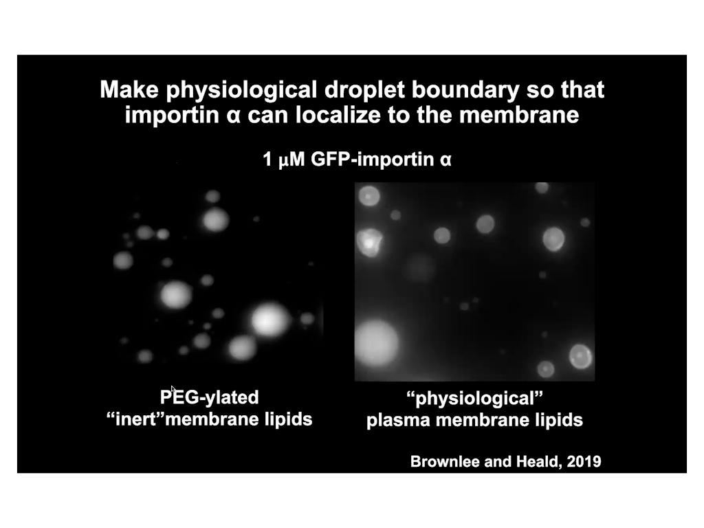 Make physiological droplet boundary
