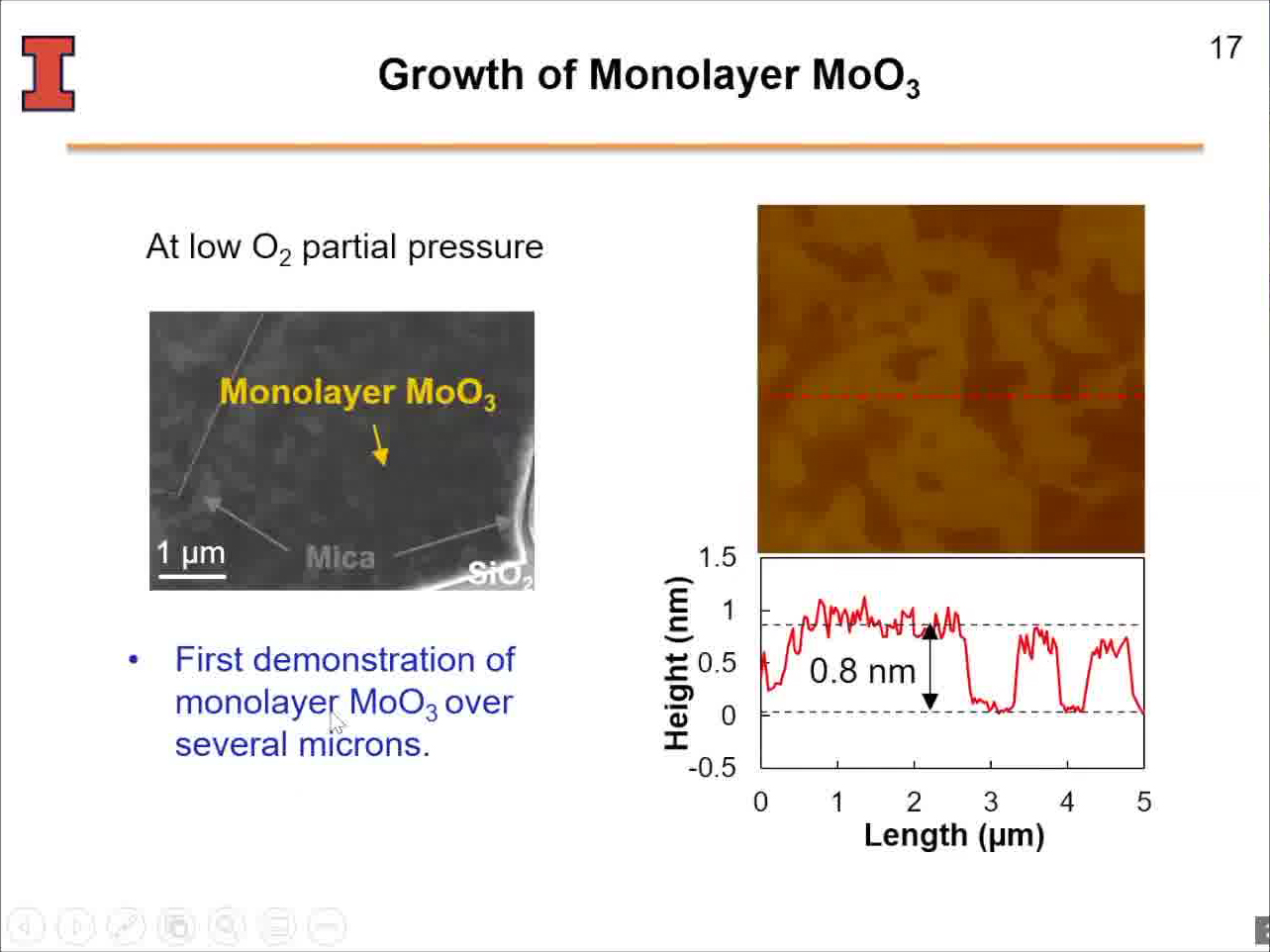 Growth of Monolayer MoO3