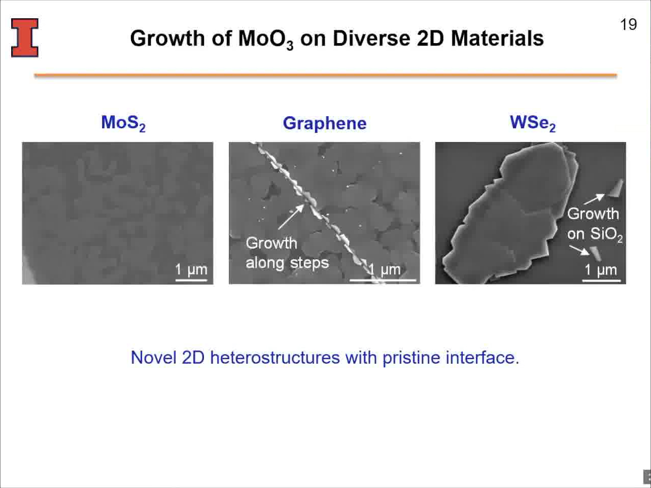Growth of MoO3 on Diverse 2D Materials
