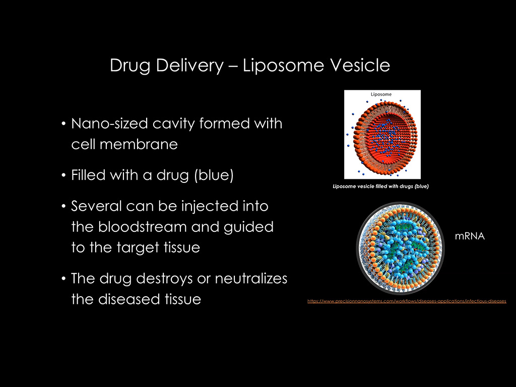 Drug Delivery – Liposome Vesicle