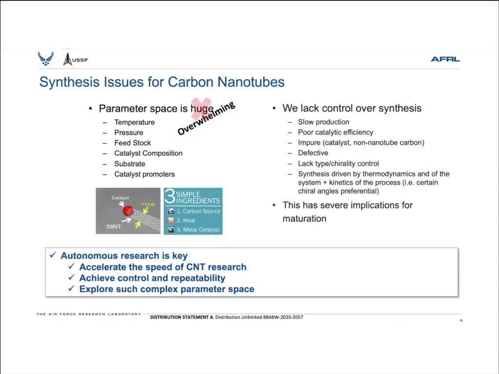 Synthesis Issues for Carbon Nanotubes