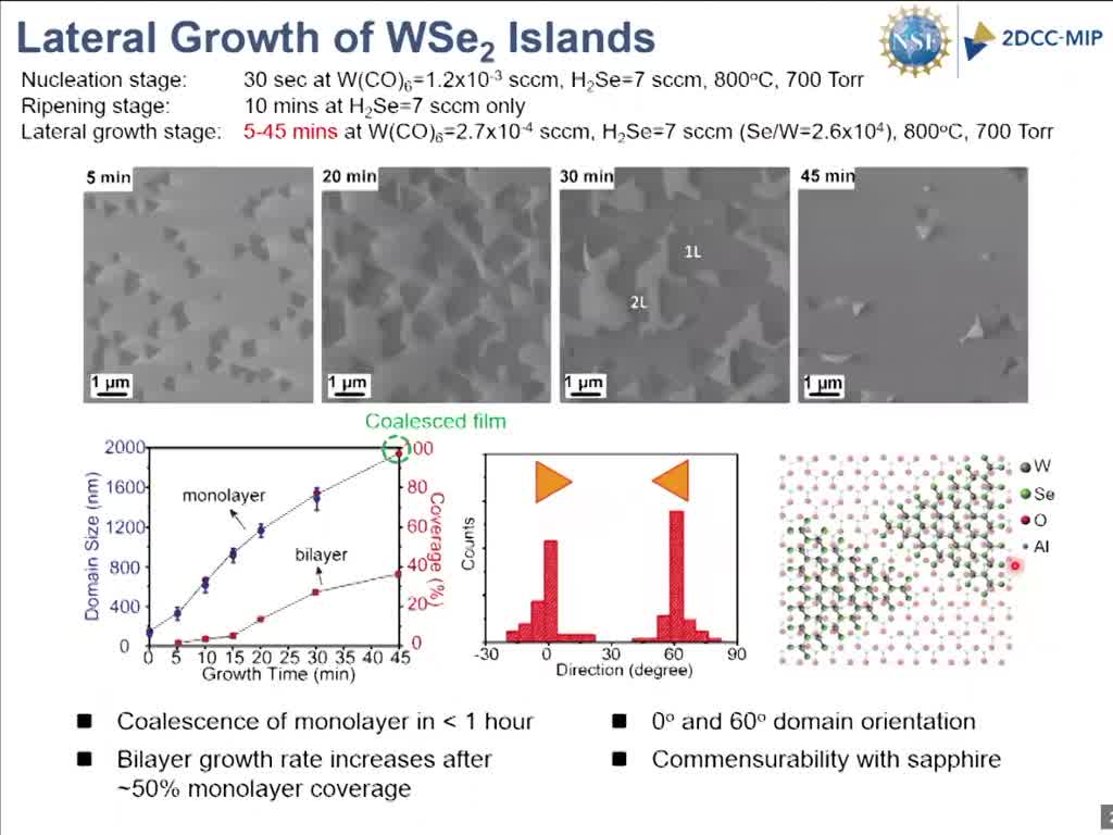 Lateral Growth of WSe2 Islands