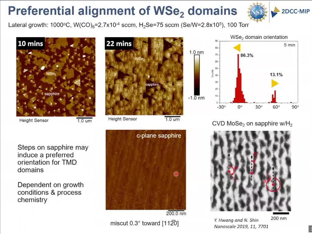 Preferential alignment of WSe2 domains