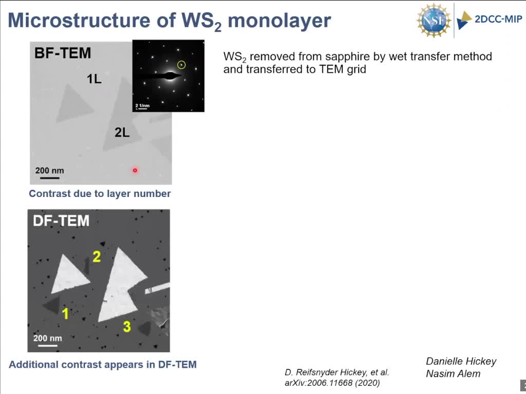 Microstructure of WS2 monolayer