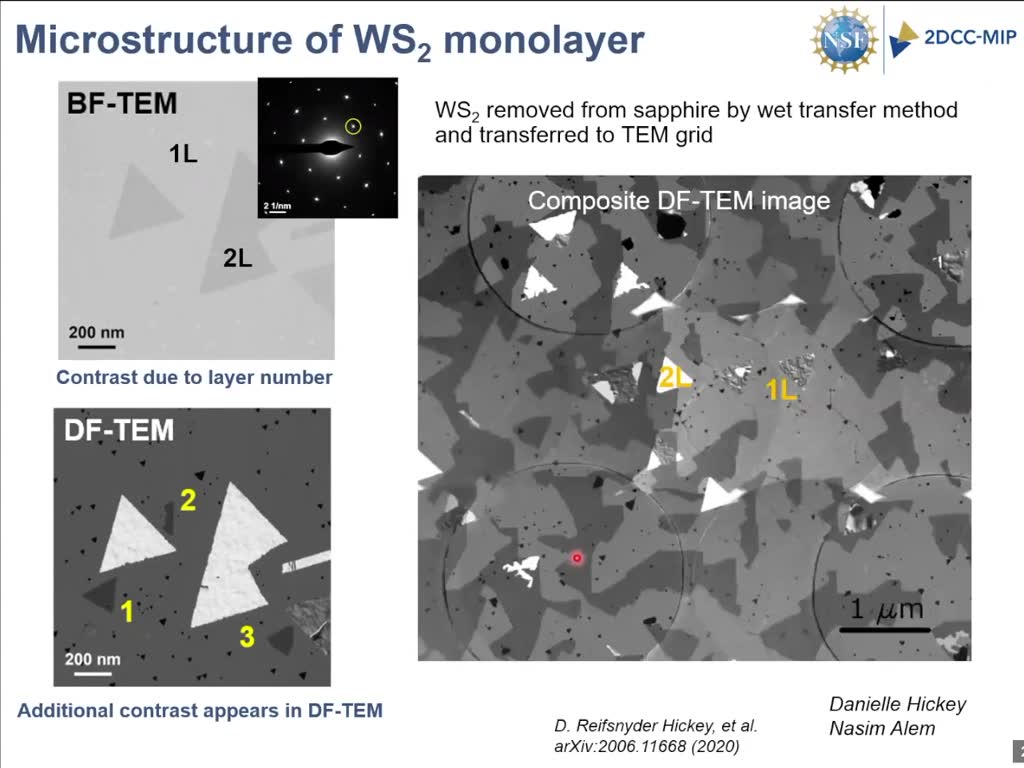 Microstructure of WS2 monolayer