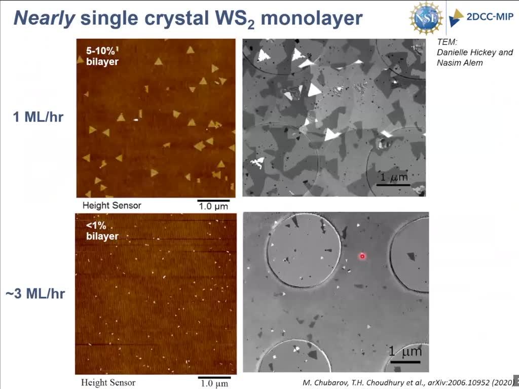 Nearly single crystal WS2 monolayer