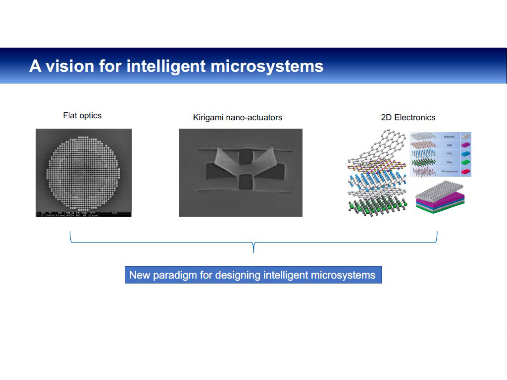 A vision for intelligent microsystems