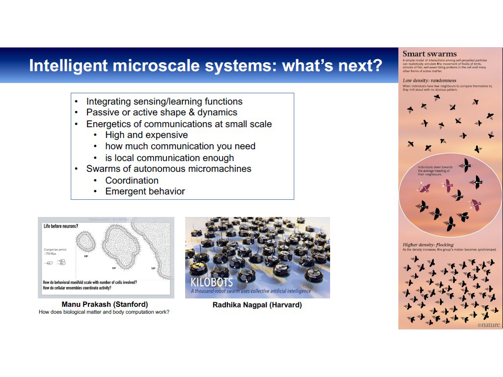 Intelligent microscale systems: what's next?