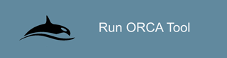 Run ORCA Tool