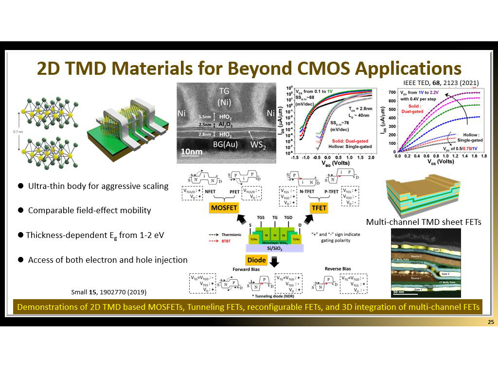 2D TMD Materials for Beyond CMOS Applications