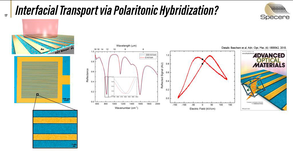 Interfacial Transport via Polaritonic Hybridization?