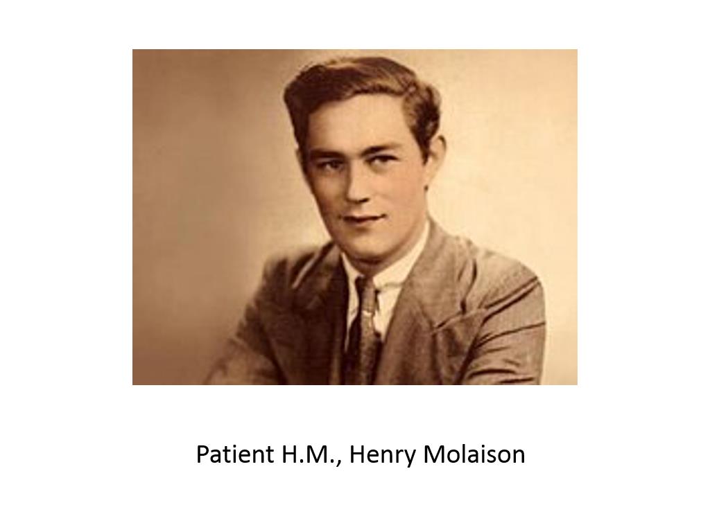 Patient H.M., Henry Molaison