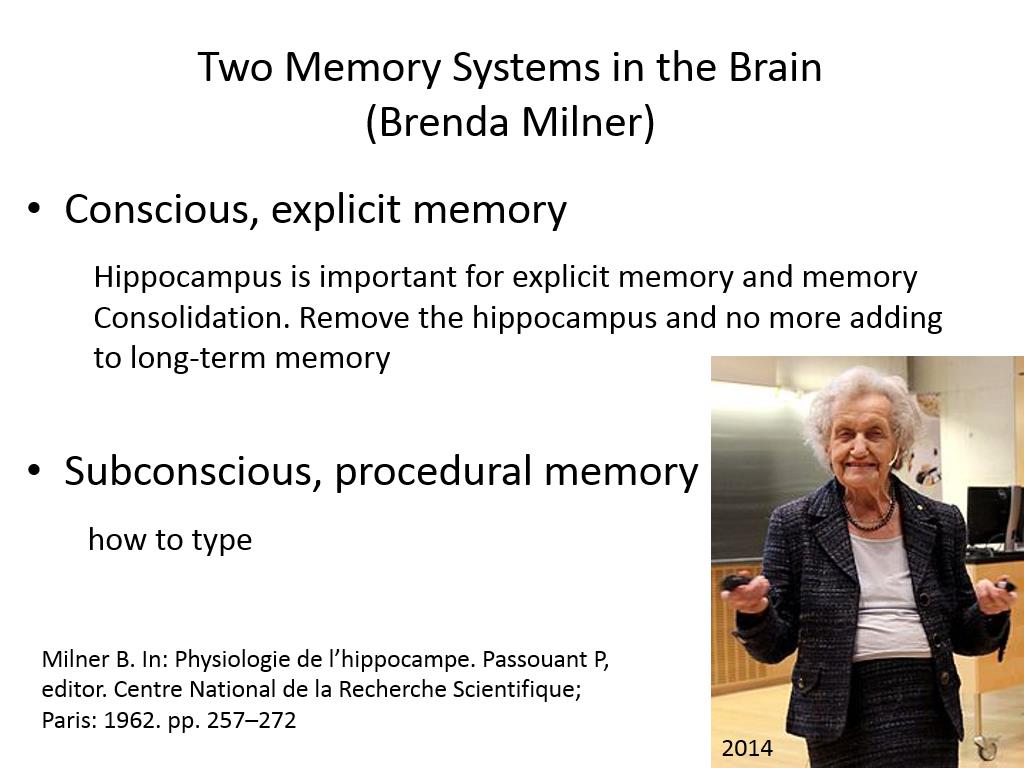 Two Memory Systems in the Brain (Brenda Milner)