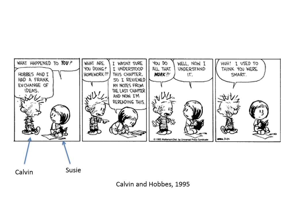 Calvin and Hobbes, 1995