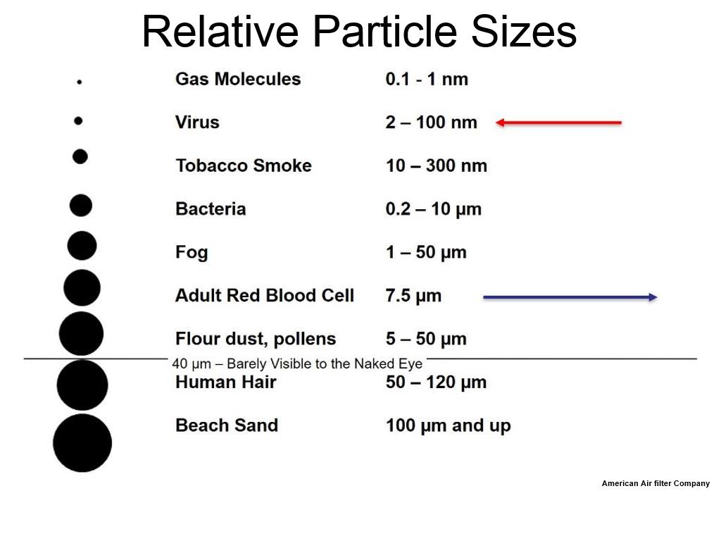 Relative Particle Sizes