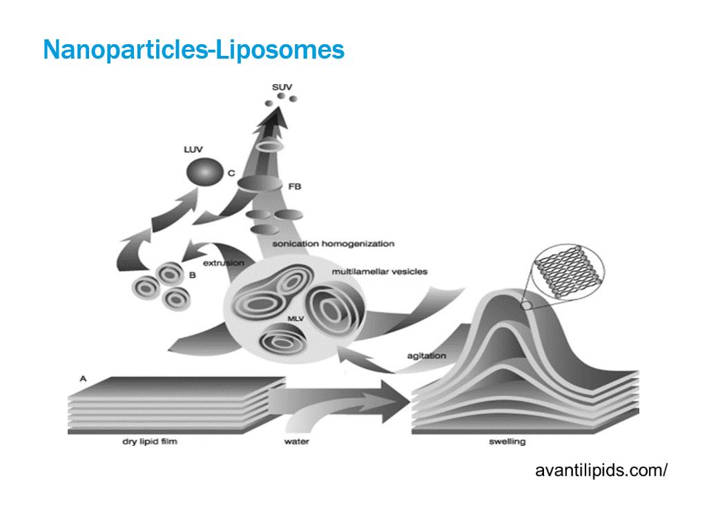 Nanoparticles-Liposomes