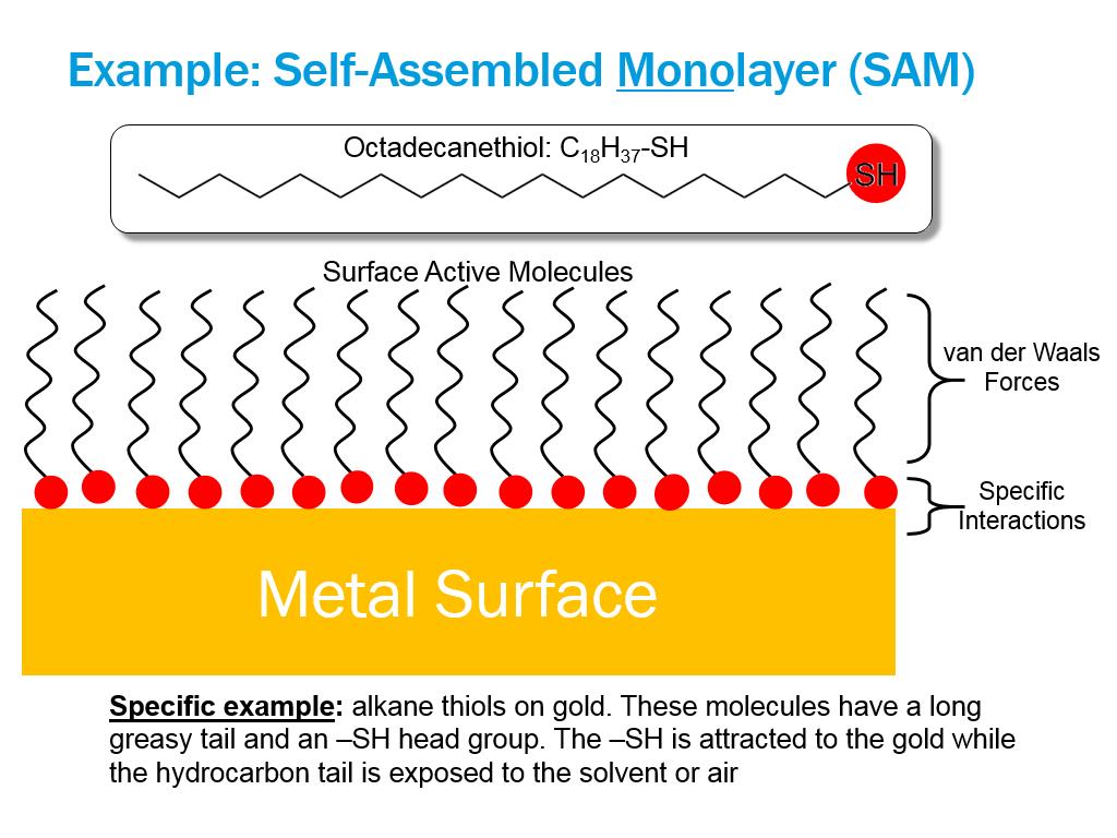 Example: Self-Assembled Monolayer (SAM)