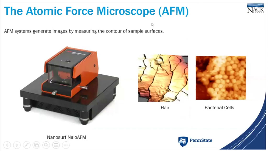 The Atomic Force Microscope (AFM)