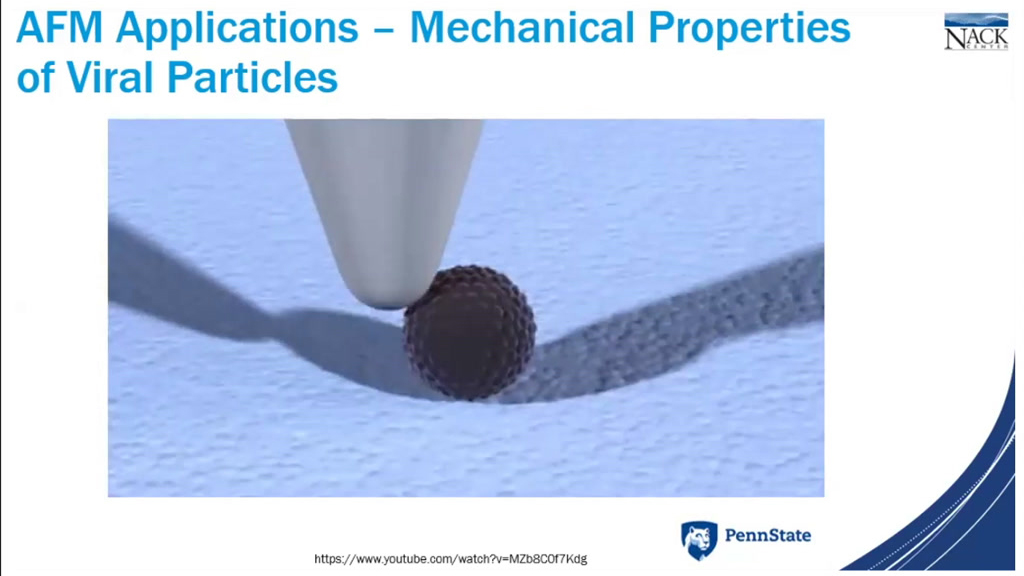 AFM Applications-Mechanical Properties of Viral Particles