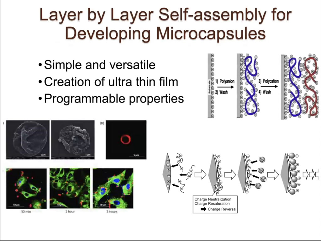 Layer by Layer Self-assembly for Developing Microcapsules