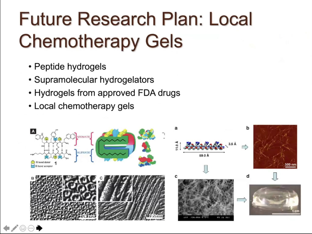 Future Research Plan: Local Chemotherapy Gels