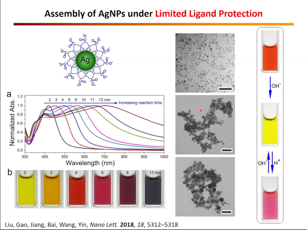 Assembly of AgNPs under Limited Ligand Protection