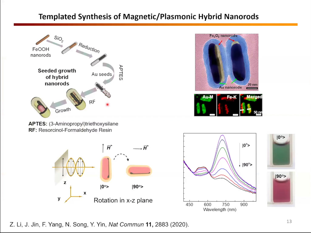 Templated Synthesis of Magnetic/Plasmonic Hybrid Nanorods