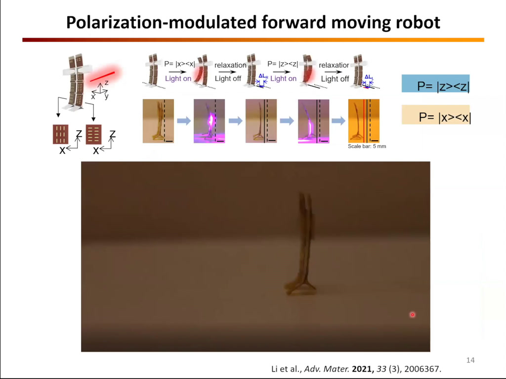 Polarization-modulated forward moving robot