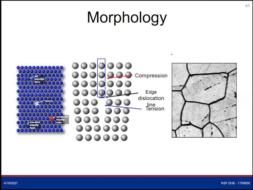 Morphology