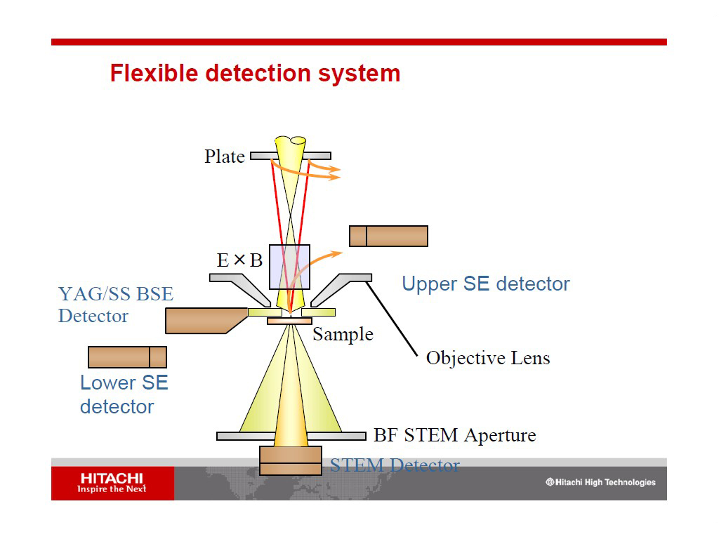 Flexible detection system