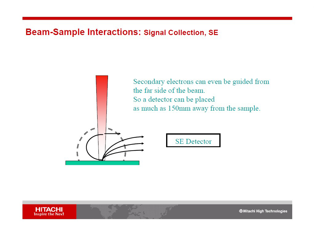 Beam-Sample Interactions: Signal Collection, SE