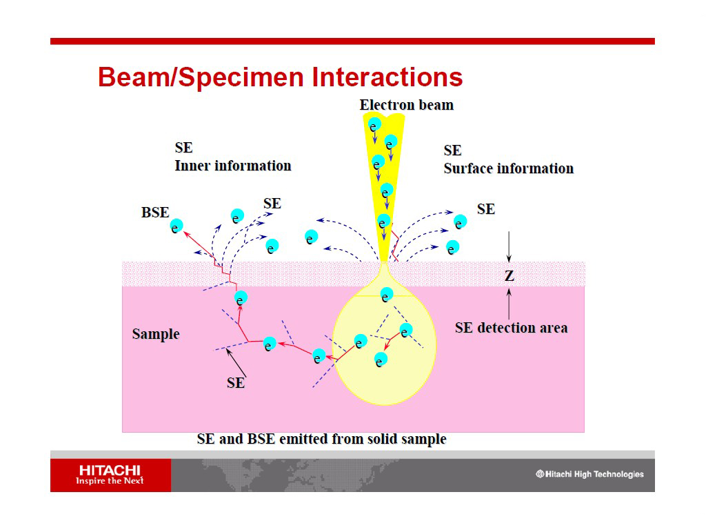 Beam/Specimen Interactions