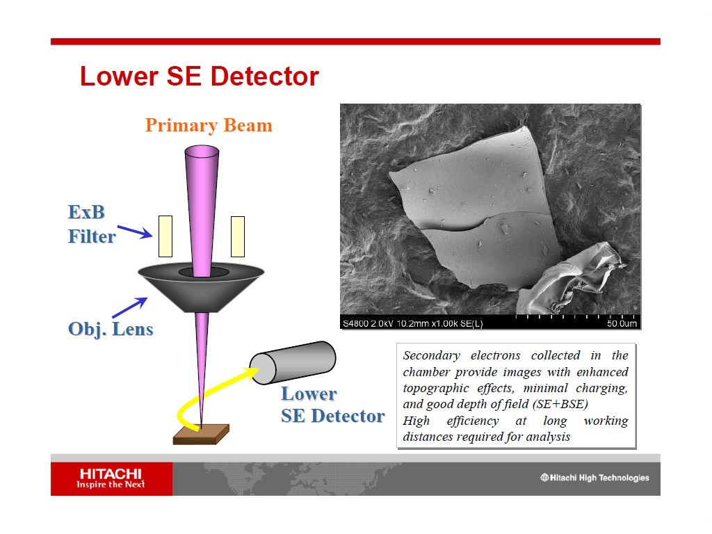 Lower SE Detector