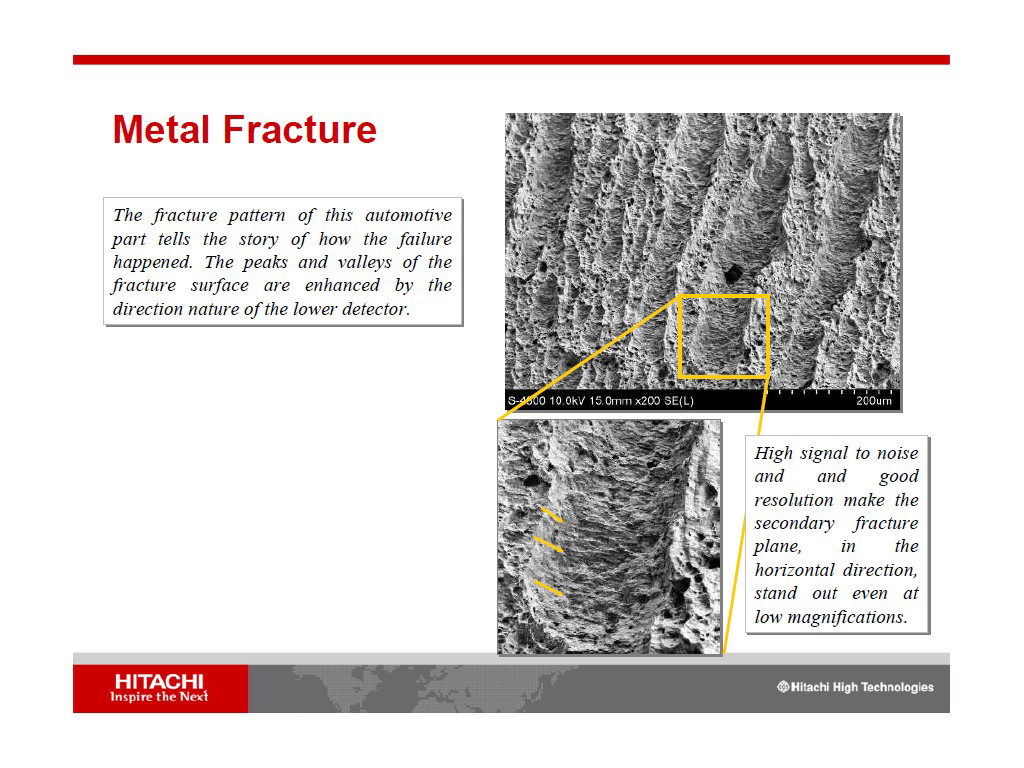 Metal Fracture