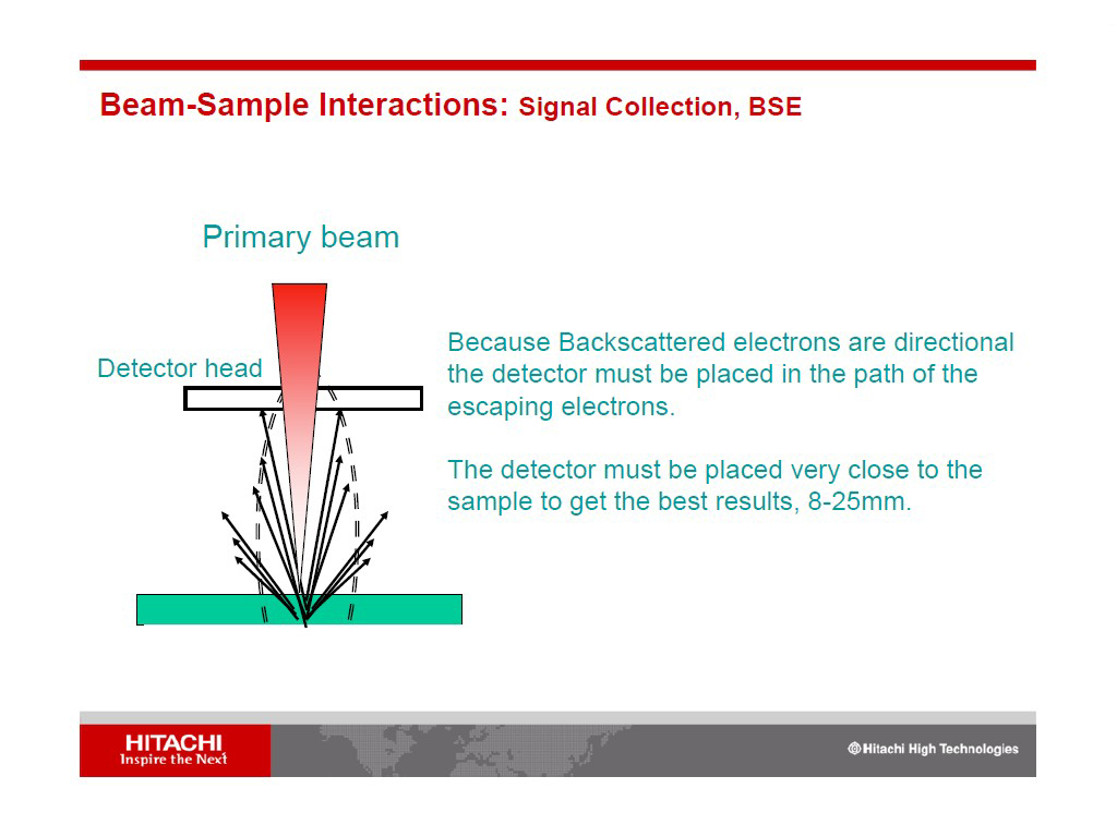 Beam-Sample Interactions: Signal Collection, BSE