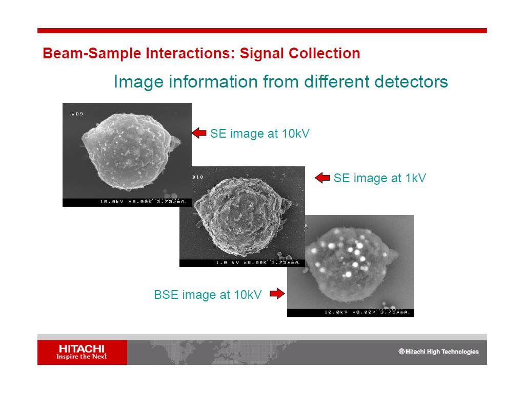 Beam-Sample Interactions: Signal Collection