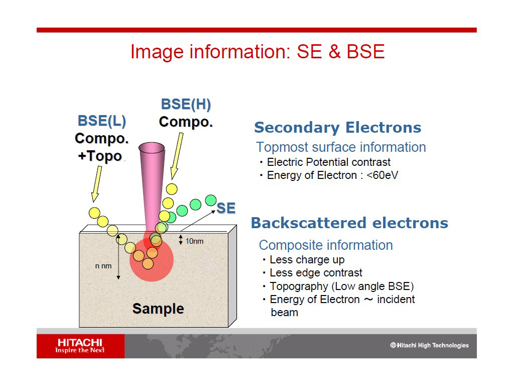 Image information: SE & BSE
