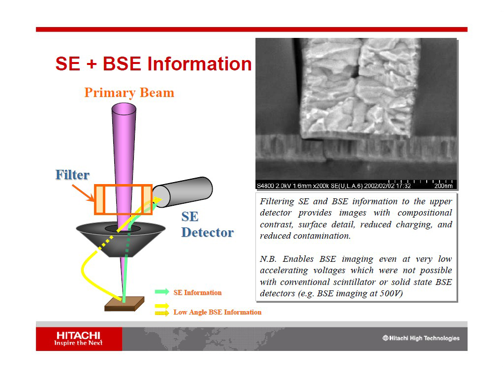 SE + BSE Information
