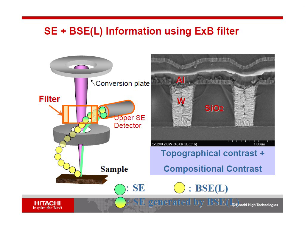 SE + BSE(L) Information using ExB filter