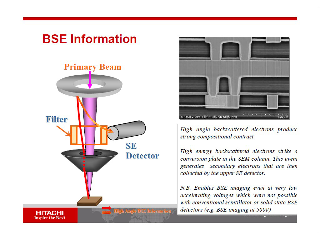 BSE Information