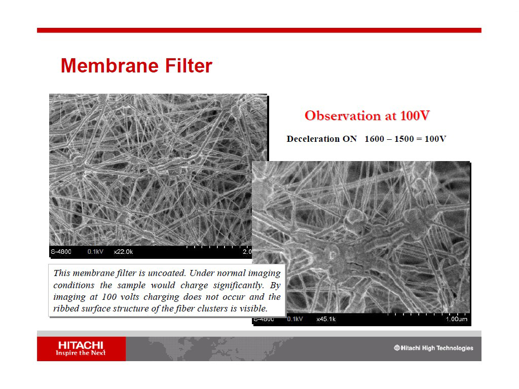 Membrane Filter